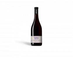 Pinot Noir - Domaine de Brau - 2020 - Rouge