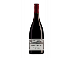 Bourgogne Pinot Noir - Domaine des Terres Dorées - 2022 - Rouge