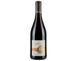 Ammonite - Domaine de Champ-Fleury - 2021 - Rouge