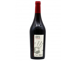 Ploussard - Domaine de la renardiere - 2022 - Rouge