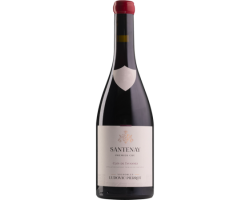 Santenay Clos De Tavannes 1er Cru - Domaine  Ludovic Pierrot - 2023 - Rouge