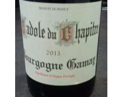 Cadole du Chapitre Bourgogne Gamay - Jacques Dépagneux - 2020 - Rouge