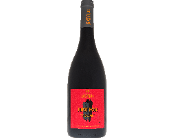 Pinot Noir - Fut de chêne - Domaine RAVIER Sylvain et Philippe - 2021 - Rouge