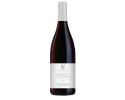 Santenay 1er Cru - La Comme - Domaine Piguet-Girardin - 2021 - Rouge