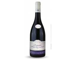 Bourgogne Hautes Côtes de Beaune Tradition - Maison Colin Seguin - 2022 - Rouge