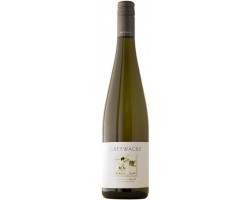 Riesling - GREYWACKE - 2022 - Blanc