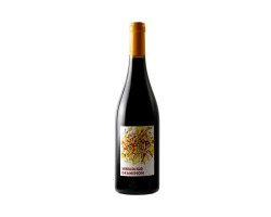 Sierra De Sud - Domaine Gramenon - 2021 - Rouge