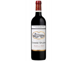 Château Chasse-Spleen - Château Chasse-Spleen - 2000 - Rouge