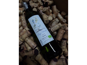 Page Blanche - Clos de l'Anhel - 2023 - Blanc