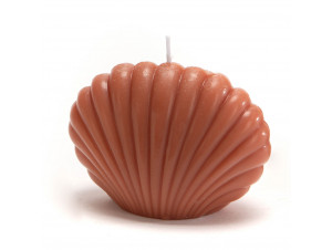 Bougie Coquillage Terra lot De 8 - Amadeus -  - 