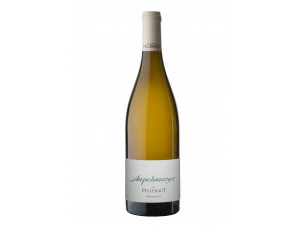 L’Ampélomeryx - Domaine de Pellehaut - 2021 - Blanc