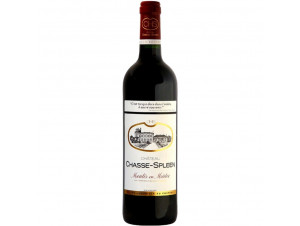 Château Chasse-Spleen - Château Chasse-Spleen - 1999 - Rouge