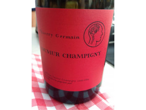 Thierry Germain Saumur Champigny - Thierry Germain - Domaine des Roches Neuves - 2021 - Rouge