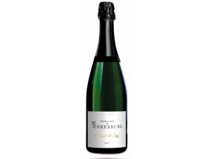 Crémant de Loire - Domaine de Terrebrune - Non millésimé - Effervescent
