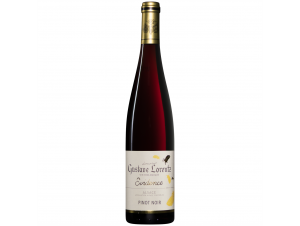 PINOT NOIR EVIDENCE BIO - Gustave Lorentz - 2022 - Rouge