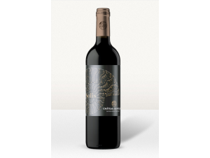 Solis - Château du Pouey - 2020 - Rouge