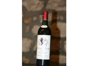 Château saint georges cote pavie - Château Saint-Georges Côte Pavie - 2019 - Rouge
