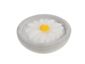 Bougie Pâquerette Blanc 16 5 Cm - Amadeus -  - 