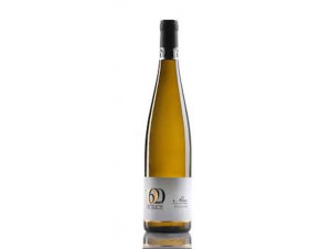 Riesling - Famille Dietrich - 2021 - Blanc