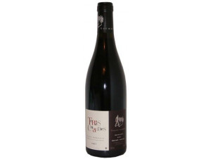 Les terres chaudes - Thierry Germain - Domaine des Roches Neuves - 2018 - Rouge