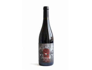 Aventureuse - Domaine des Sarments - 2022 - Rouge