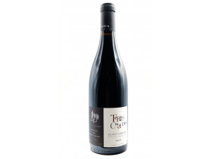 Les terres chaudes - Thierry Germain - Domaine des Roches Neuves - 2023 - Rouge