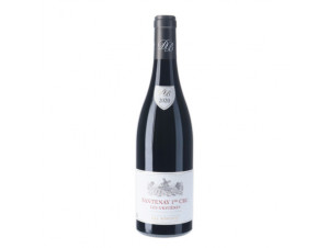 Santenay Premier Cru Les Gravières - Domaine Borgeot - 2021 - Rouge
