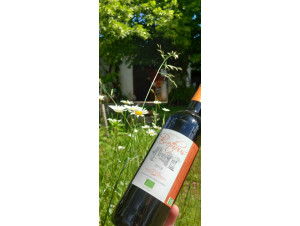 Château Brethous - Château Brethous - 2019 - Rouge