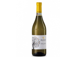 Arneis - Bel Colle - 2021 - Blanc