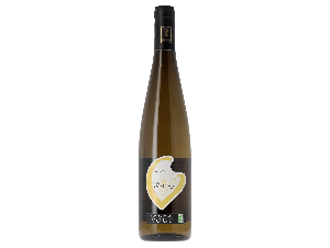 Riesling - Domaine Laurent Vogt - 2023 - Blanc