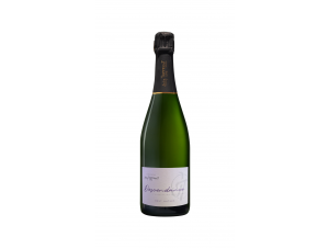 Descendance Brut Nature - Champagne Jacky Tapprest & Fils - Non millésimé - Effervescent
