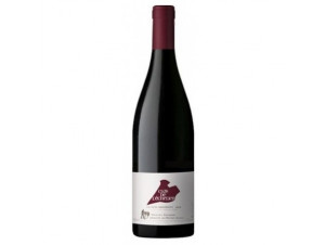 Clos de l'Echelier - Thierry Germain - Domaine des Roches Neuves - 2021 - Rouge