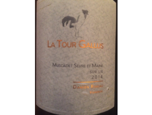La Tour Gallus - Domaine Gorges - Damien Rineau - 2013 - Blanc