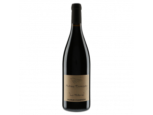 La Paterne - Domaine Antoine Sanzay - 2020 - Rouge