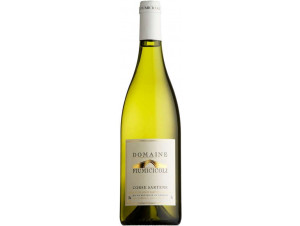 Fiumicicoli blanc - Domaine Fiumicicoli - 2024 - Blanc