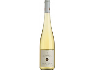 Diel Riesling Trocken - Schlossgut Diel - 2022 - Blanc