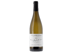 Saint-Aubin Premier Cru - Sentier Du Clou - Domaine Vincent Bachelet - 2023 - Blanc