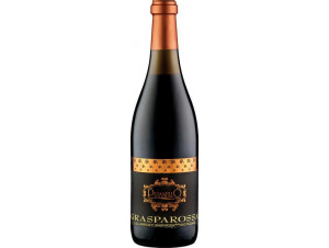 Lambrusco Grasparossa - Cantina Puianello - Non millésimé - Rouge