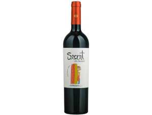 Secret - carmenere - VIU MANENT - 2021 - Rouge
