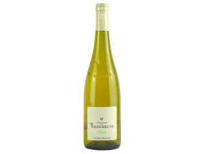 Anjou blanc - Domaine de Terrebrune - 2023 - Blanc