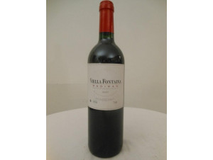Viella Fontaina - Plaimont - 2000 - Rouge