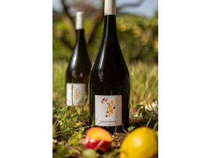 Louis-Baptiste - Domaine Fontainebleau en Provence - 2023 - Blanc