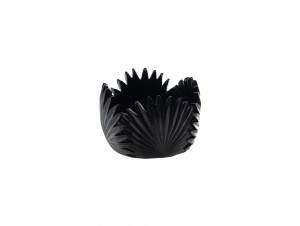 Coupe Tropical Noire 15 Cm - Amadeus -  - 