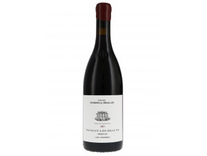 Savigny-les-Beaune 1er Cru Les Lavières - Domaine Chandon de Briailles - 2021 - Rouge