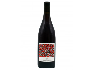 Ceci n'est pas un Rosé - Domaine de Montaillant - 2023 - Rouge