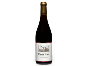 Les Perdrisières Pinot Noir - Maison L. Tramier et Fils - 2023 - Rouge