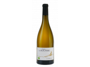 CYPRIUS - DOMAINE LA BOUYSSE - 2023 - Blanc