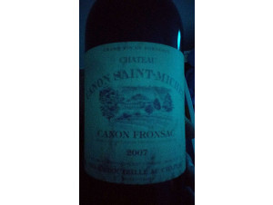 CHÂTEAU CANON SAINT MICHEL - AB - Vignoble Millaire - 2017 - Rouge