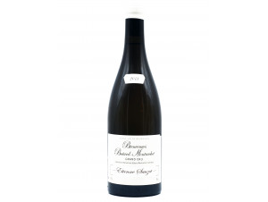 Bienvenue Bâtard Montrachet - Domaine Etienne Sauzet - 2017 - Blanc