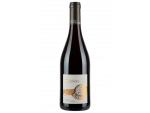 Ammonite - Domaine de Champ-Fleury - 2021 - Rouge